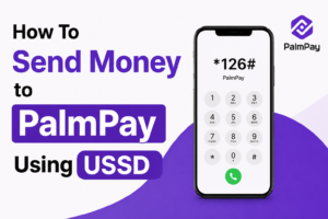 How To Send Money to PalmPay Using USSD