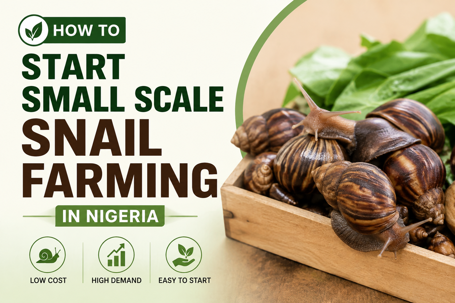 Start Small Scale Snail Farming in Nigeria: Cost 2026/27